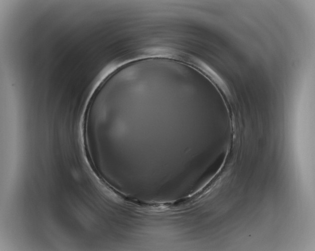 X0000115521291200911061410