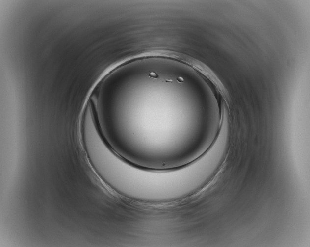 X0000115521292200911061410
