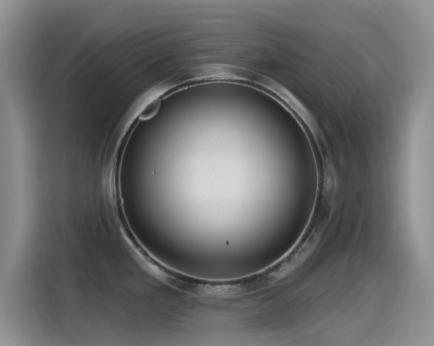 X0000115521293200911061410