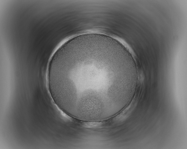 X0000115521294200911061410