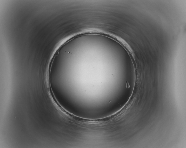X0000115521295200911061410