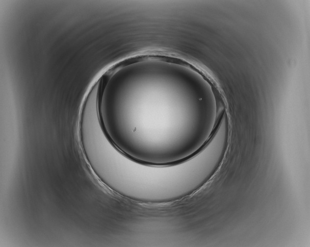 X0000115521296200911061410