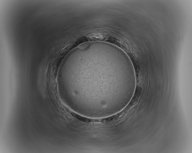 X0000115521297200911061409