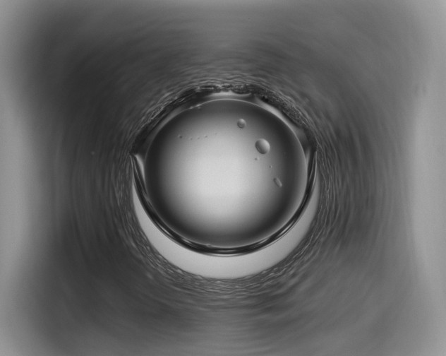 X0000115521298200911061409