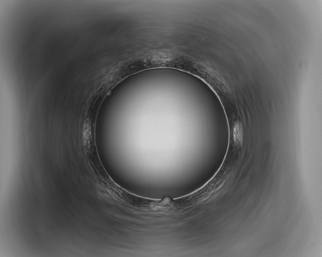 X0000115521299200911061409