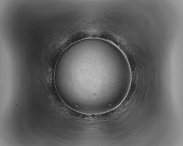 X0000115521301200911061409