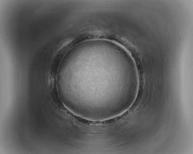 X0000115521302200911061409