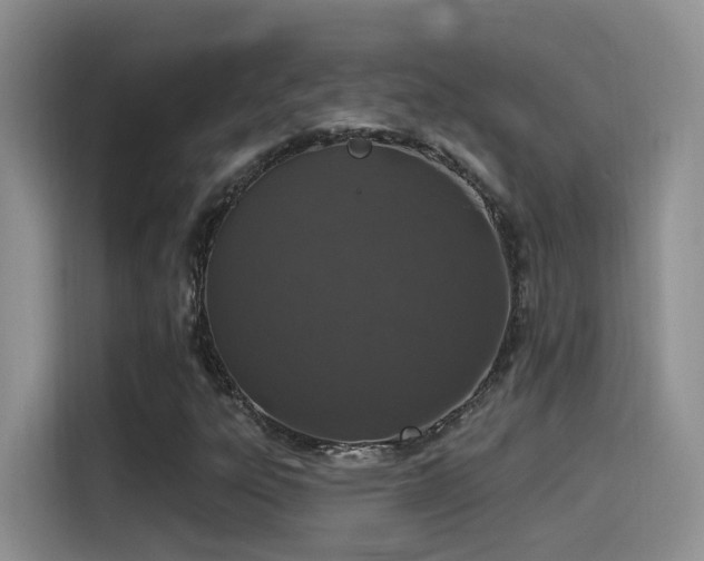 X0000115521303200911061409