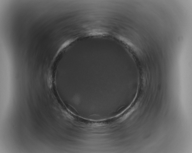 X0000115521306200911061409