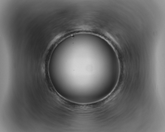 X0000115521307200911061409