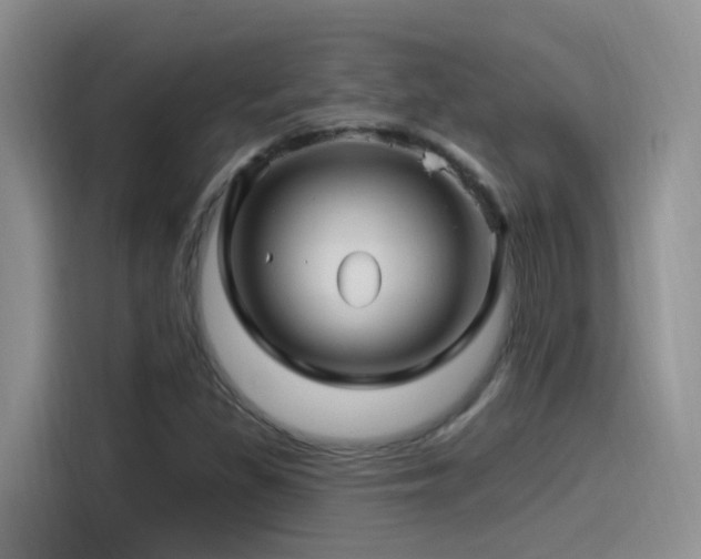 X0000115521309200911061409