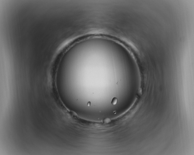 X0000115521311200911061409