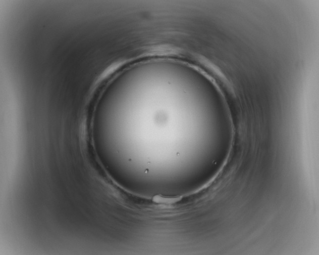 X0000115521315200911061409