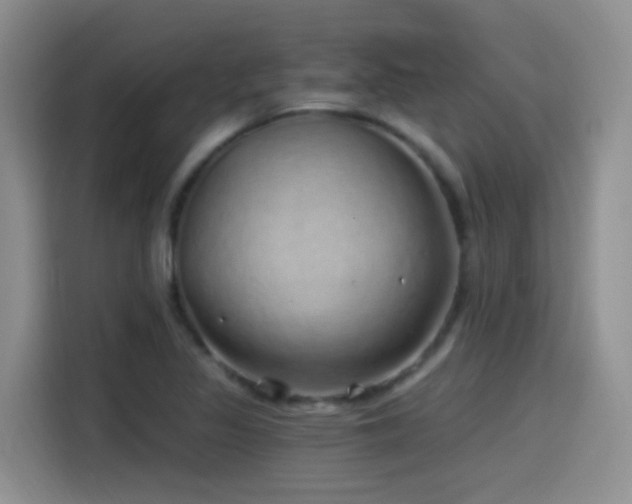 X0000115521317200911061409