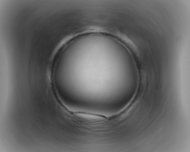 X0000115521318200911061409