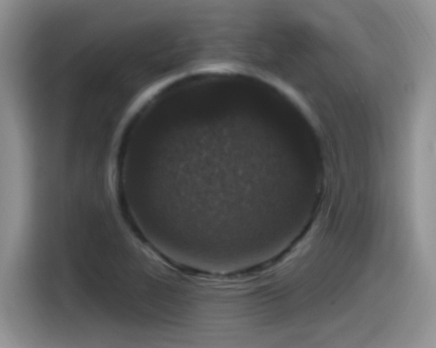 X0000115521319200911061409