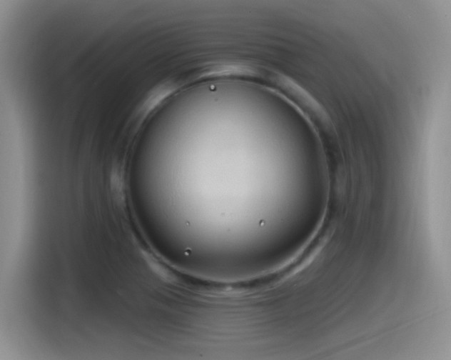 X0000115521321200911061409