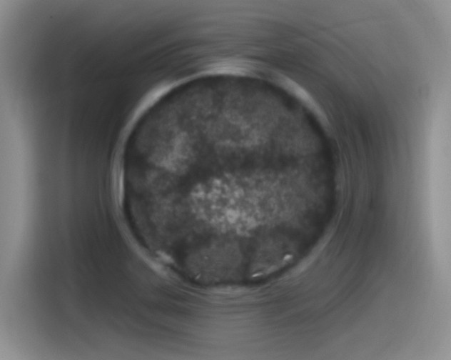 X0000115521323200911061409
