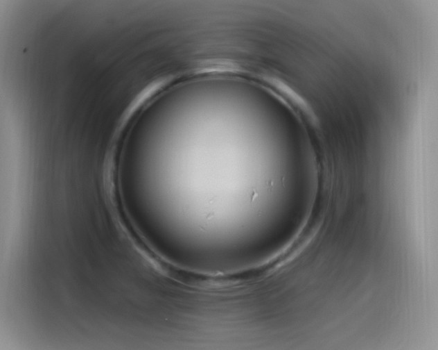 X0000115521325200911061409