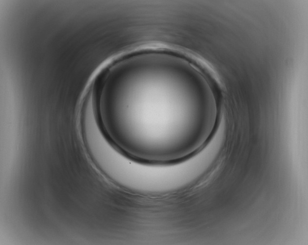 X0000115521326200911061409