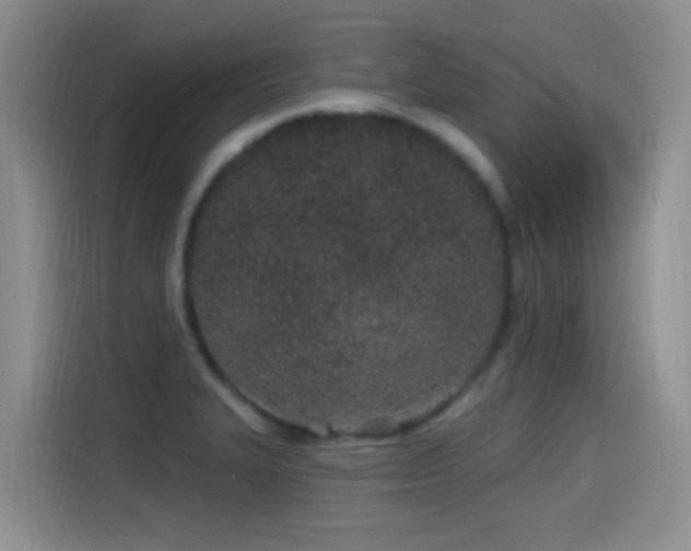 X0000115521327200911061409