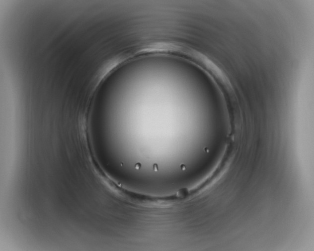 X0000115521329200911061409