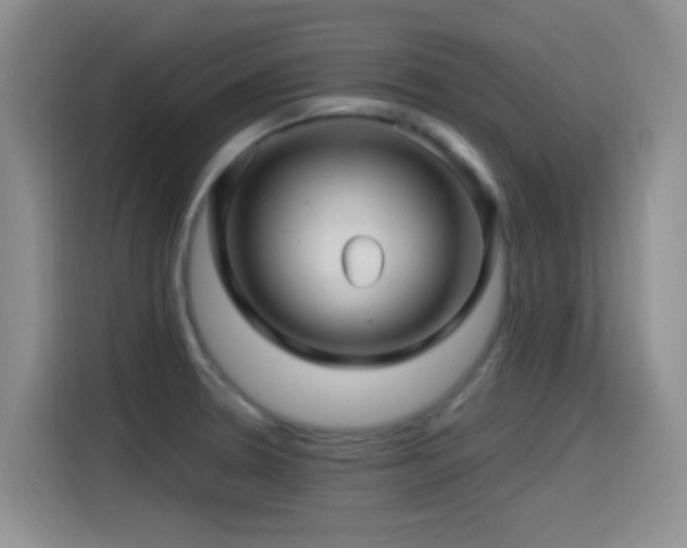 X0000115521330200911061409