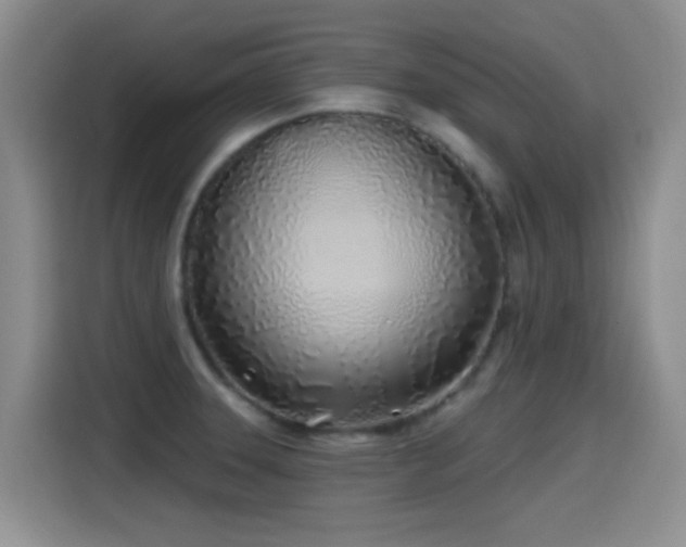 X0000115521331200911061409
