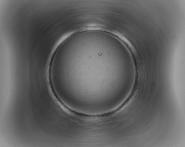 X0000115521333200911061409