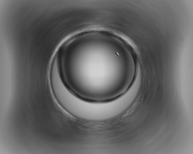 X0000115521334200911061409