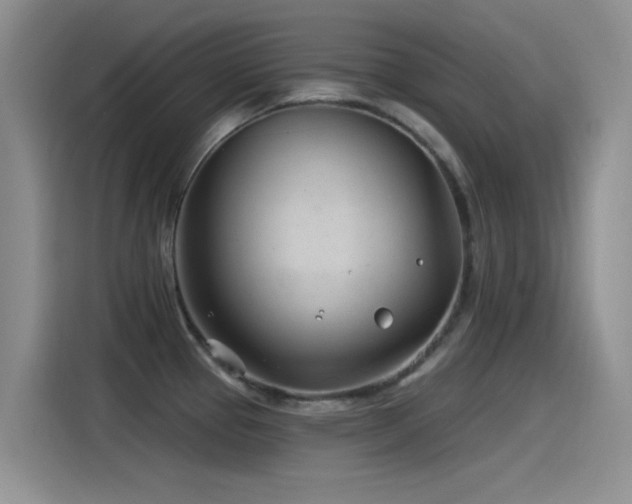 X0000115521337200911061410