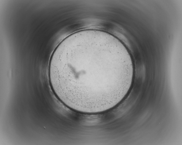 X0000115521338200911061410