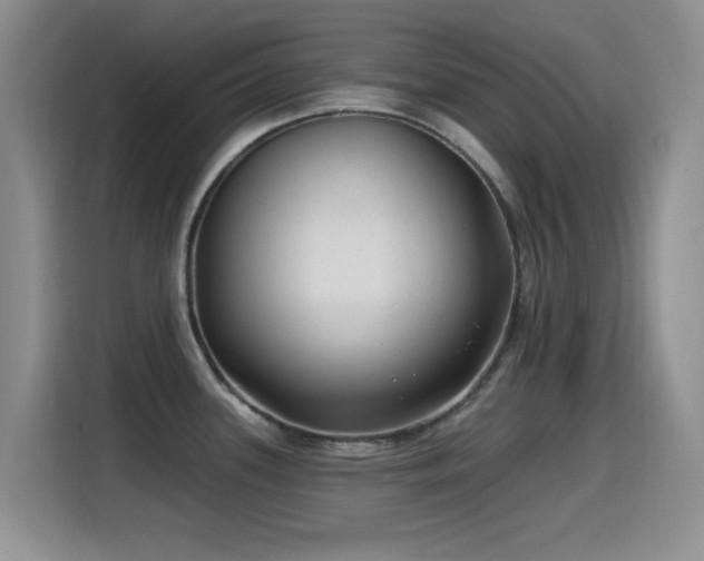 X0000115521339200911061410