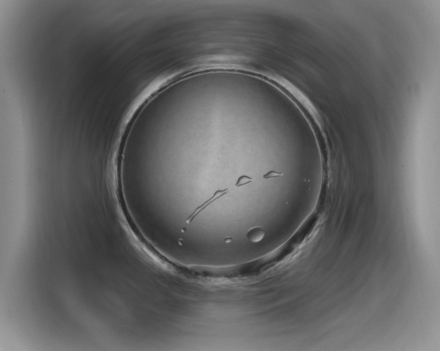 X0000115521341200911061410