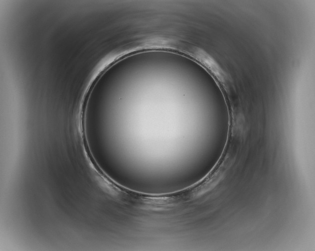 X0000115521342200911061410