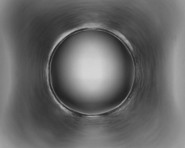 X0000115521343200911061410