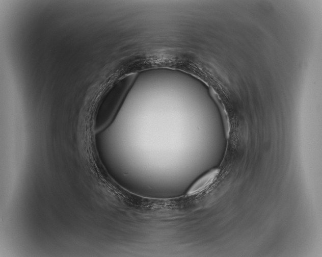 X0000115521345200911061409