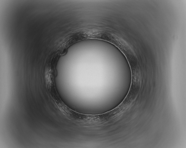 X0000115521346200911061409