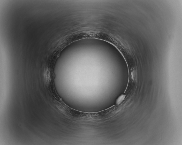 X0000115521347200911061409