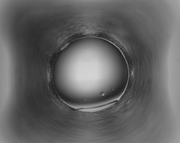 X0000115521348200911061409