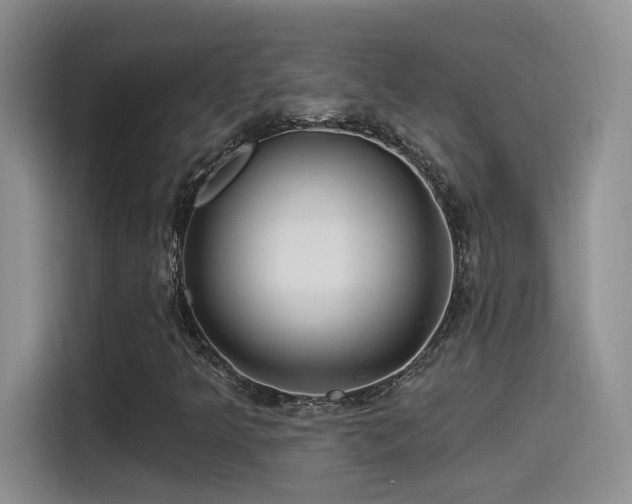 X0000115521349200911061409