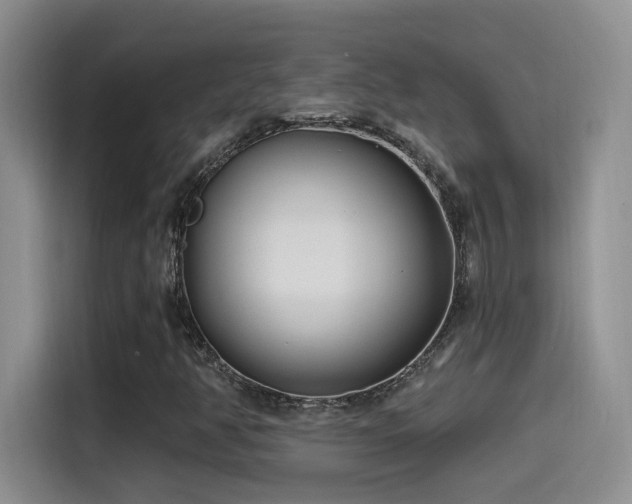 X0000115521350200911061409