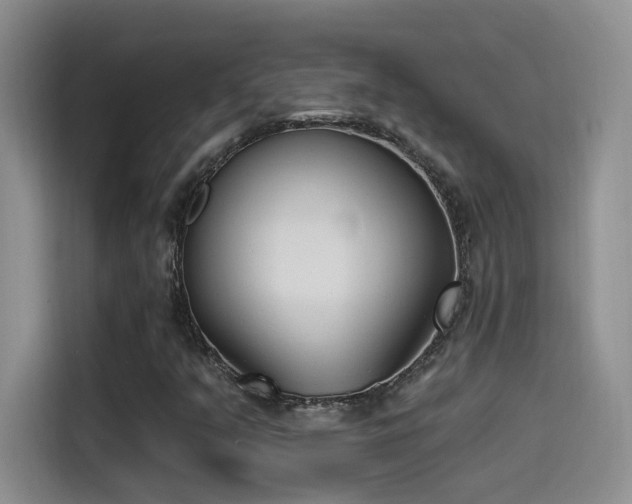 X0000115521351200911061409