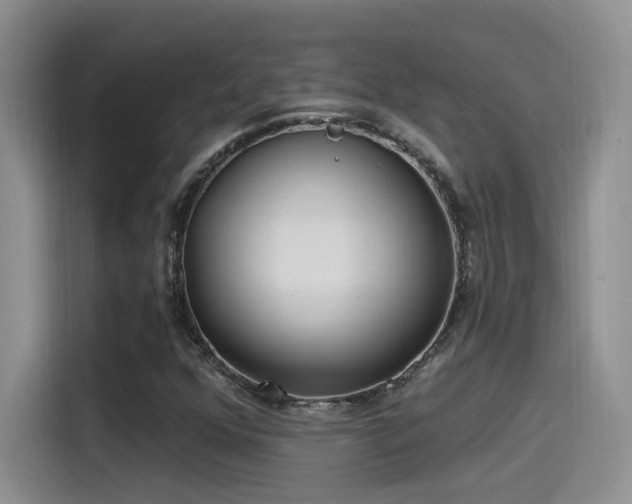 X0000115521352200911061409