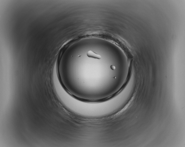 X0000115521353200911061409