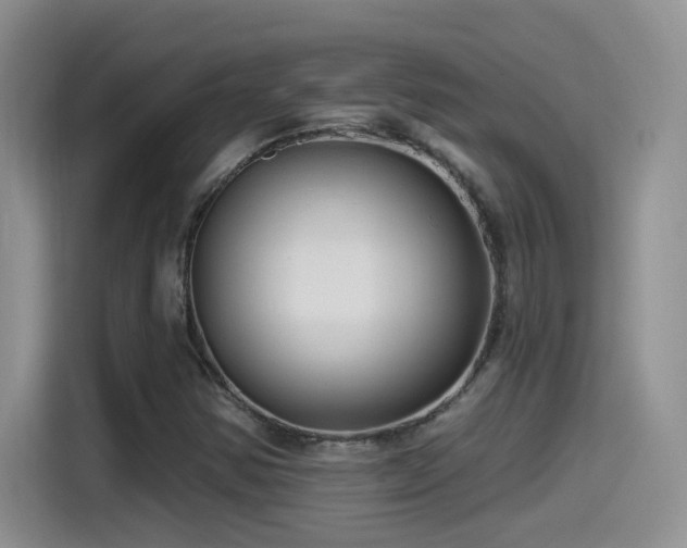 X0000115521354200911061409
