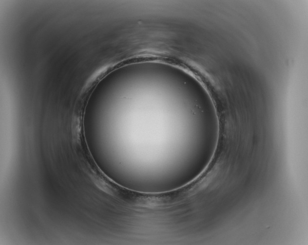X0000115521355200911061409