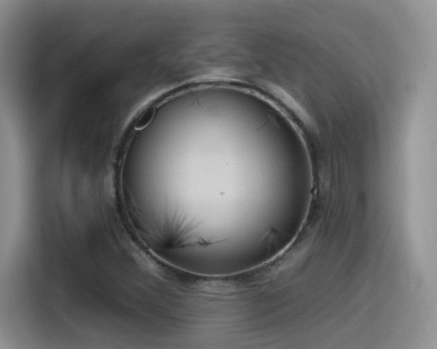 X0000115521356200911061409