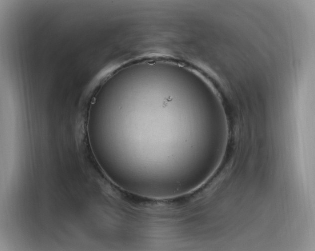 X0000115521359200911061409