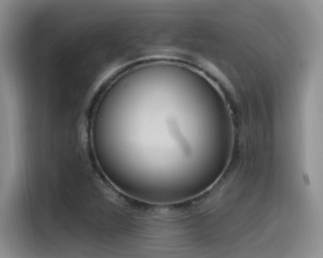 X0000115521360200911061409
